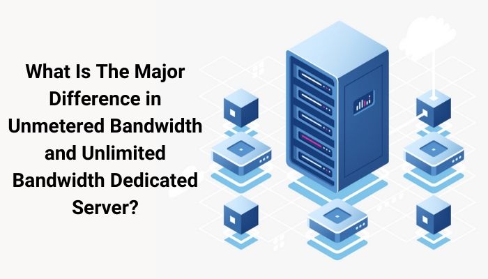 Dedicated server with unmetered bandwidth