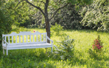 Creating a Beautiful Ambience to Your Garden With Wooden Garden Benches