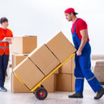 Apartment Movers in Dubai