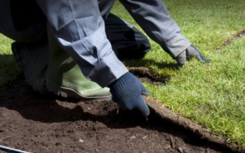 How to Care for New Sod