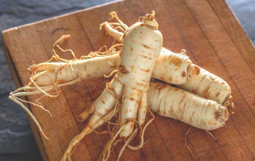 Benefits of Ginseng