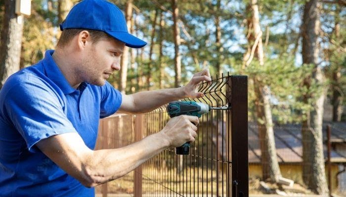 Find The Best Cat Fencing