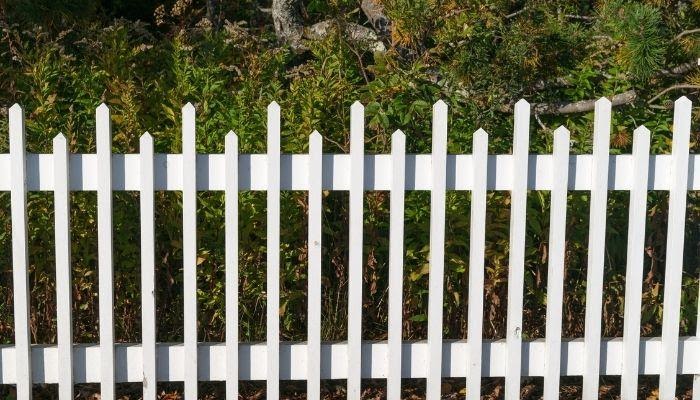 Find The Best Cat Fencing