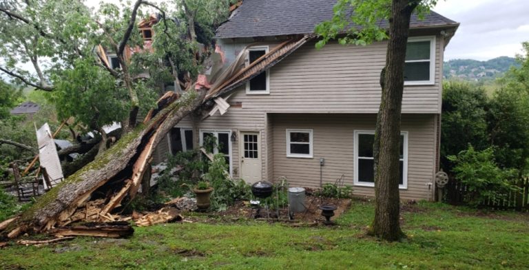 Tree+falls+on+Park+Ridge+home+during+heavy+storms+%E2%80%93+NBC+New+York